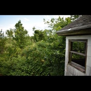 Meet your Posher, Bridget